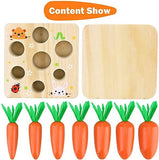 Carrot Harvest Matching Toy