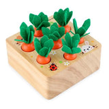 Carrot Harvest Matching Toy