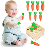 Carrot Harvest Matching Toy