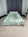 100% Cotton Bedsheet (FZK432)