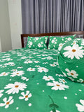 Mix-Cotton Bedsheet (LBB+SPC-002)