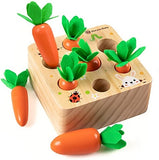 Carrot Harvest Matching Toy