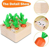 Carrot Harvest Matching Toy