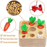 Carrot Harvest Matching Toy
