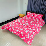 Comforter Bedsheet Combo