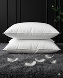 Bedsheet, Head Pillow and Towel Combo