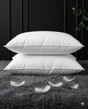 2 PC'S HEAD PILLOW