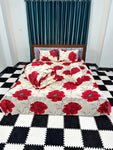 Comforter Bedsheet Set 100% Cotton (FZK426)