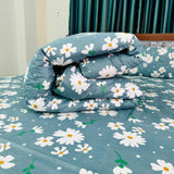 Comforter Bedsheet Combo