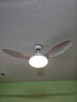 Remote Control Fan with Lights and Remote Control