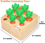 Carrot Harvest Matching Toy
