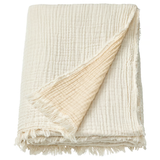Single Size Cotton Blanket (BLANKET-44)