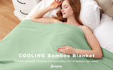 Single Size Cotton Blanket (BLANKET-38)